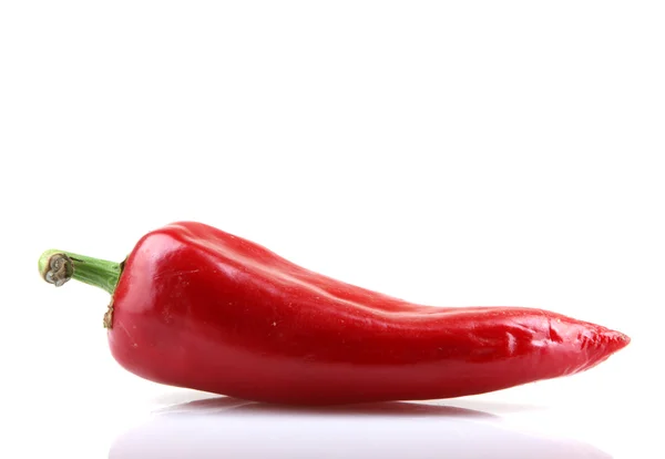 Röd paprika — Stockfoto