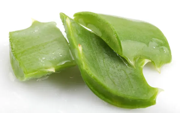 Aloe vera — Foto Stock