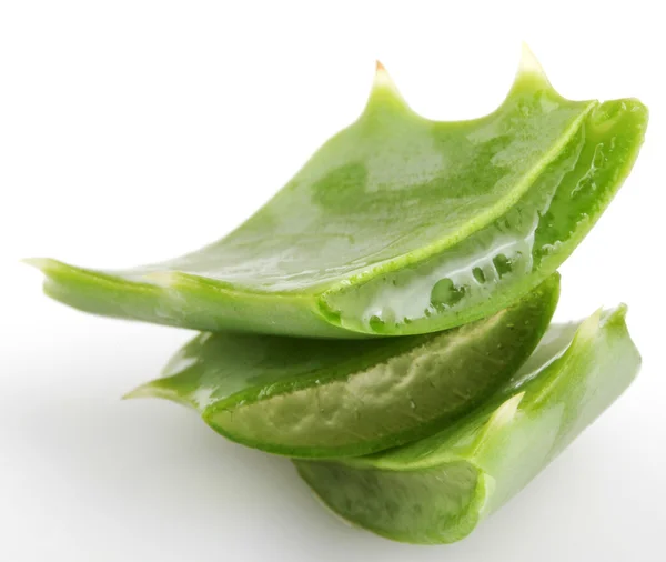 Aloe vera — Foto de Stock