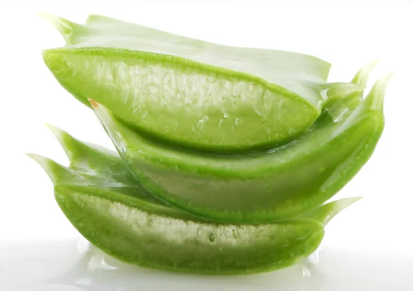 Aloe vera — Foto Stock