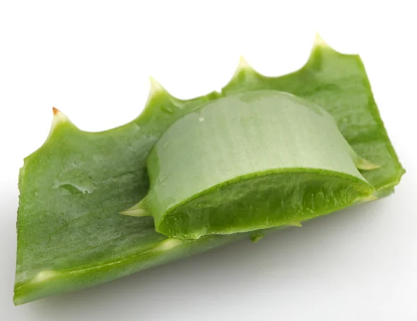 Aloe Vera — Stockfoto