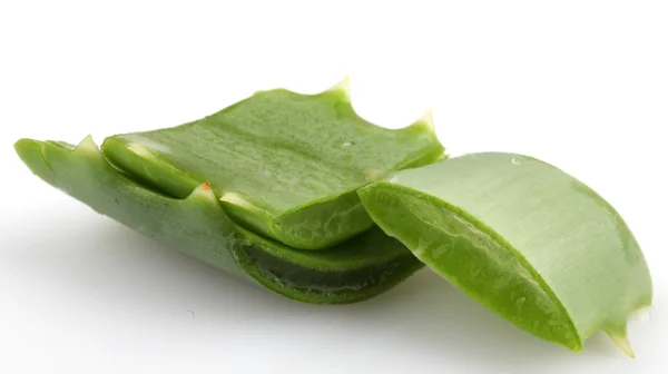 Aloe vera — Stock fotografie