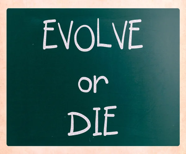 "Evolve or Die "scritto a mano con gesso bianco su lavagna — Foto Stock