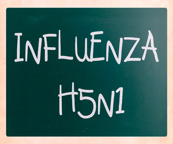 Immagini del virus influenzale H5N1 — Foto Stock