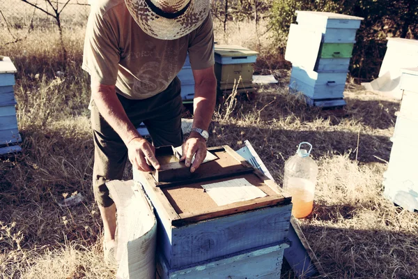 养蜂人 — 图库照片