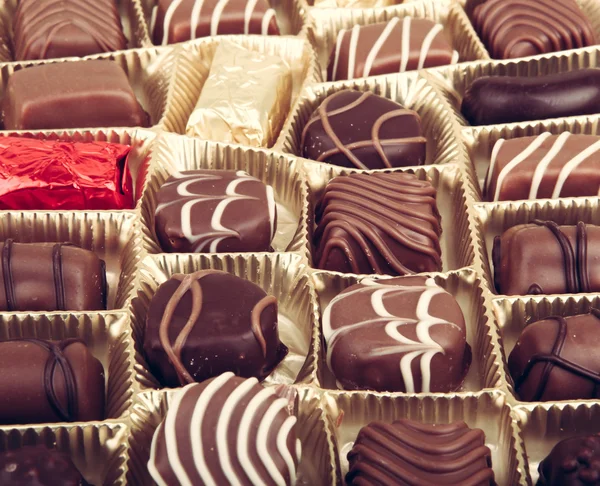 Heerlijke chocolade pralines — Stockfoto