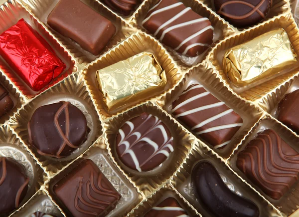 Delicious Chocolate Pralines — Stock Photo, Image