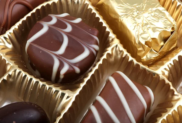 Delicious Chocolate Pralines — Stock Photo, Image