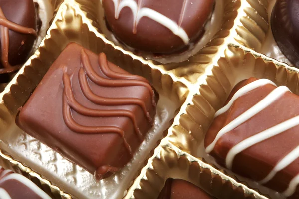 Heerlijke chocolade pralines — Stockfoto