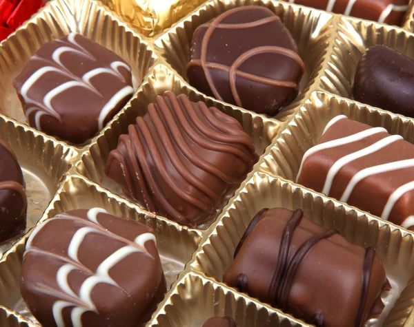 Deliciosos pralinés de chocolate —  Fotos de Stock