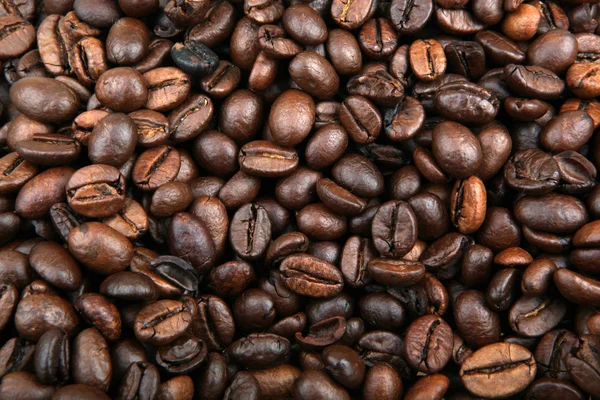 Chicchi di caffè sfondo — Foto Stock