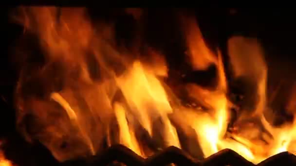 Die sterbende Glut im Kamin — Stockvideo