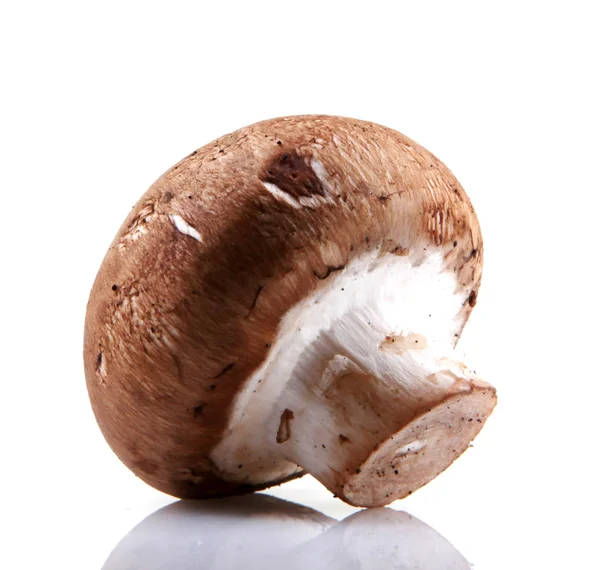 Portobello Mushroom — Stockfoto