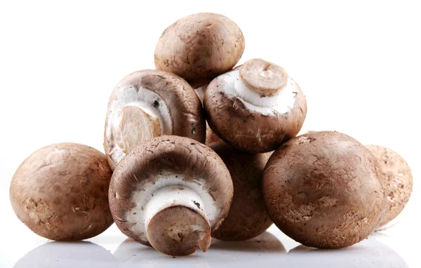 Portobello mushroom — Stock Photo, Image