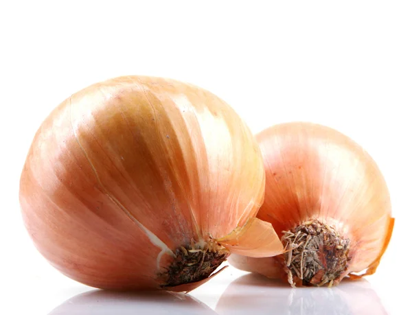 Bulbos de cebolla fresca aislados sobre fondo blanco —  Fotos de Stock