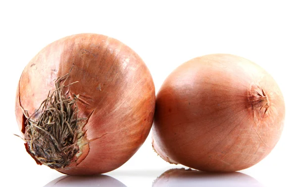 Bulbos de cebolla fresca aislados sobre fondo blanco — Foto de Stock