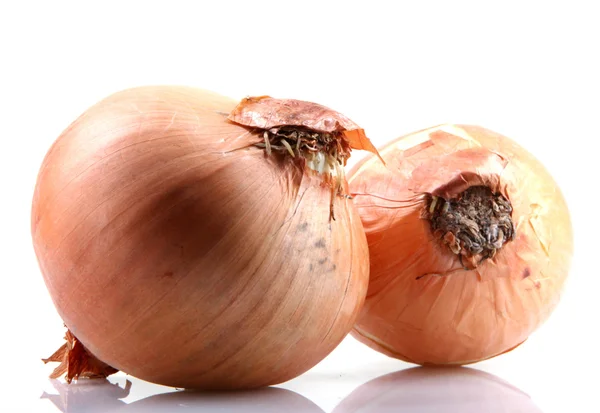 Bulbos de cebolla fresca aislados sobre fondo blanco — Foto de Stock