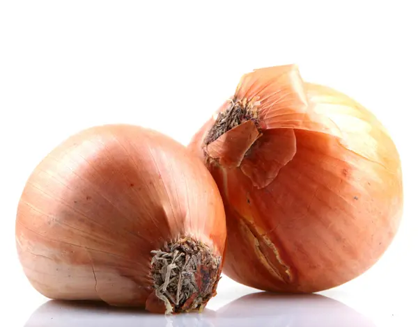 Fresh onion bulbs isolated on white background — Stock Photo, Image