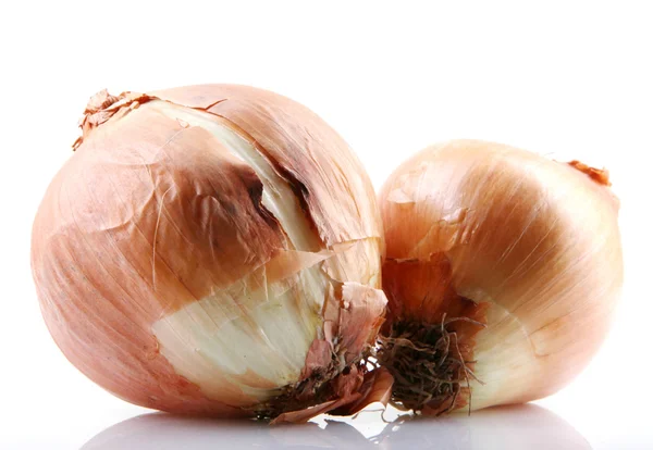 Fresh onion bulbs isolated on white background — Stock Photo, Image