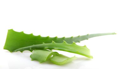 aloe vera bitkisi beyaz üzerine izole.