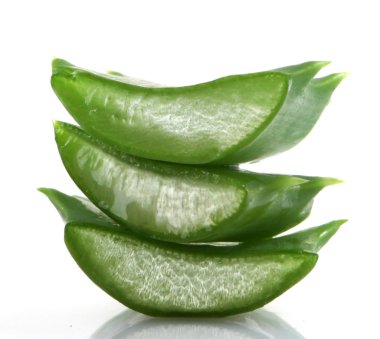 aloe vera bitkisi beyaz üzerine izole.