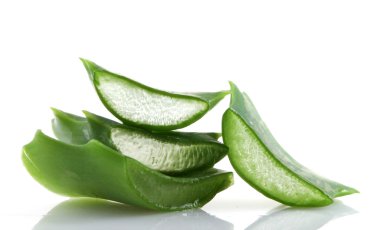 aloe vera bitkisi beyaz üzerine izole.