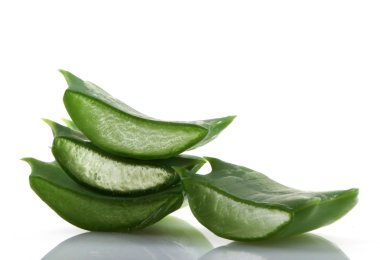 aloe vera bitkisi beyaz üzerine izole.