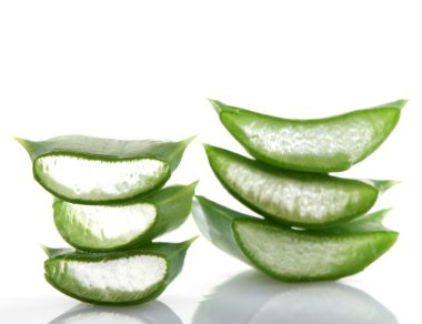 aloe vera bitkisi beyaz üzerine izole.