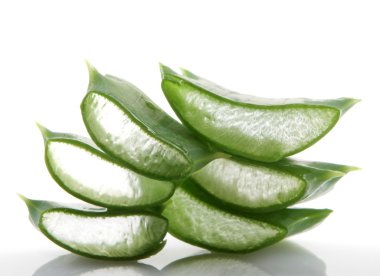 aloe vera bitkisi beyaz üzerine izole.