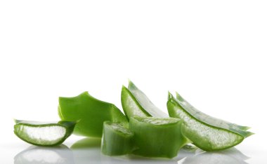 aloe vera bitkisi beyaz üzerine izole.
