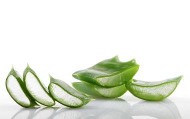 aloe vera bitkisi beyaz üzerine izole.