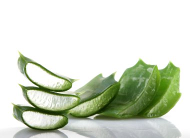 aloe vera bitkisi beyaz üzerine izole.