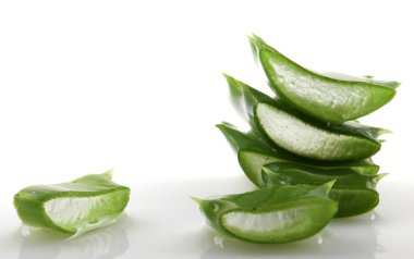 aloe vera bitkisi beyaz üzerine izole.