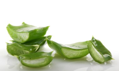 aloe vera bitkisi beyaz üzerine izole.