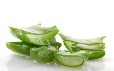 aloe vera bitkisi beyaz üzerine izole.
