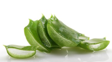 aloe vera bitkisi beyaz üzerine izole.