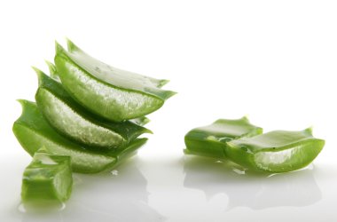 aloe vera bitkisi beyaz üzerine izole.