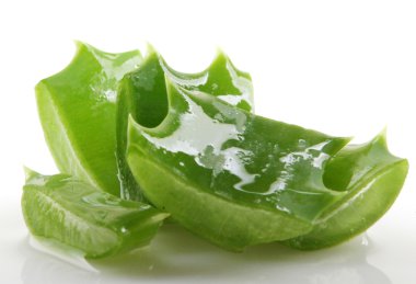 aloe vera bitkisi beyaz üzerine izole.