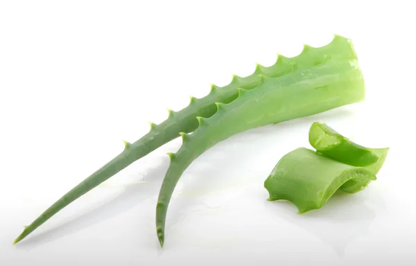 Aloe Vera Pflanze isoliert auf weiß. — Stockfoto