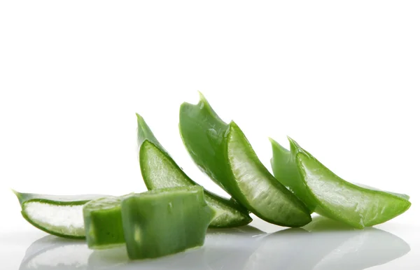 Aloe vera bitkisi beyaz üzerine izole. — Stok fotoğraf