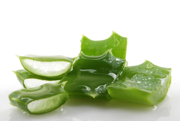 Planta de aloe vera aislada en blanco. — Foto de Stock