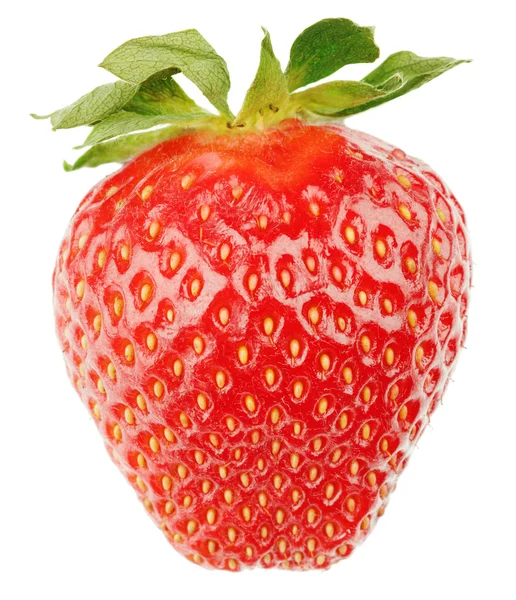 Single strawberry fruit — Stock Photo, Image