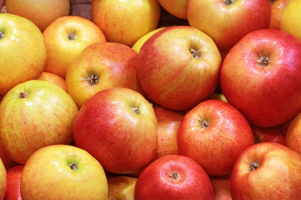 Primer plano de muchos frutos de manzana rojo-amarillo — Foto de Stock