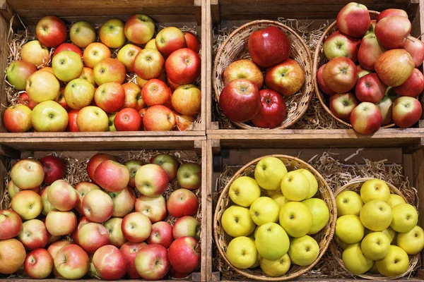 Closeup of various apple fruits — Stock Photo, Image