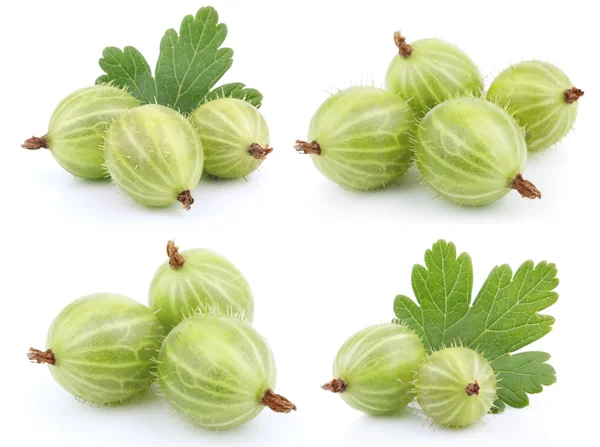 Set of green gooseberry fruit — Stock Photo, Image
