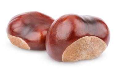 Two chestnuts on white clipart