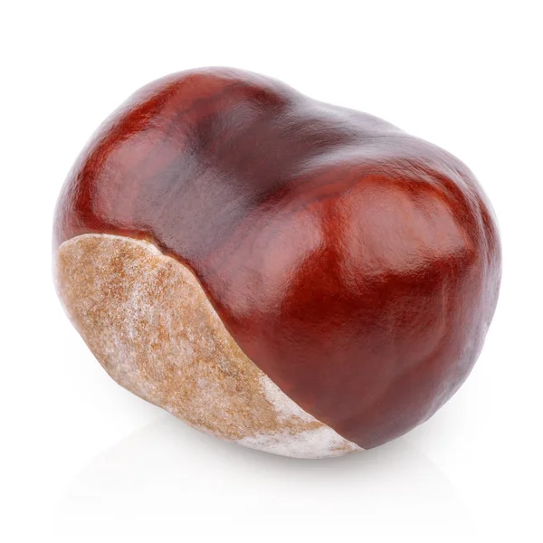 Single chestnut on white — Stock Photo, Image