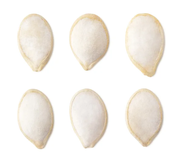 Набор семян соленой тыквы — стоковое фото