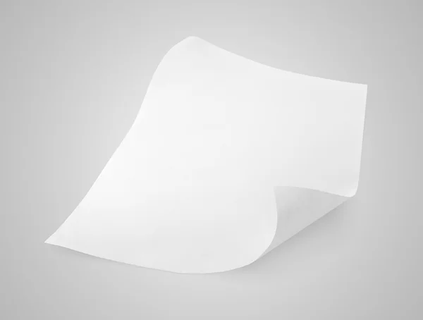 Folha em branco de papel branco sobre cinza — Fotografia de Stock