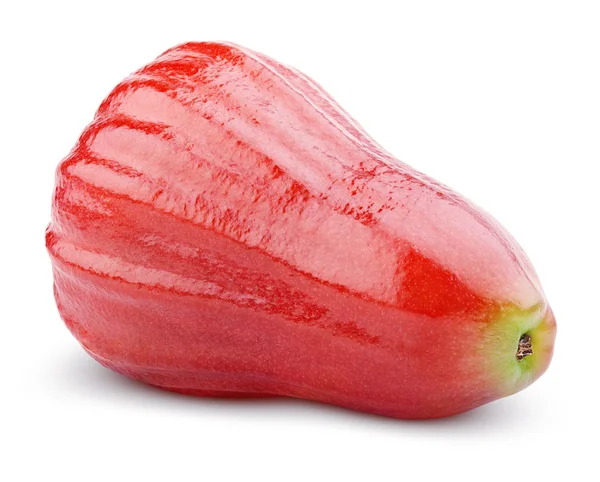 Rose apple of chomphu geïsoleerd op wit — Stockfoto